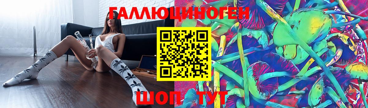 Галлюциногенные грибы GOLDEN TEACHER  где купить наркоту  Вход с VPN  Джанкой  Галлюциногенные грибы GOLDEN TEACHER 